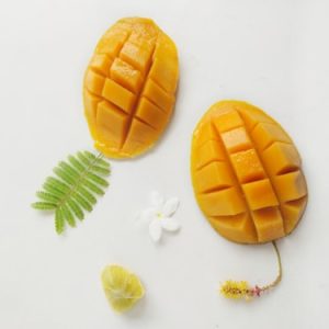 Mango Plant